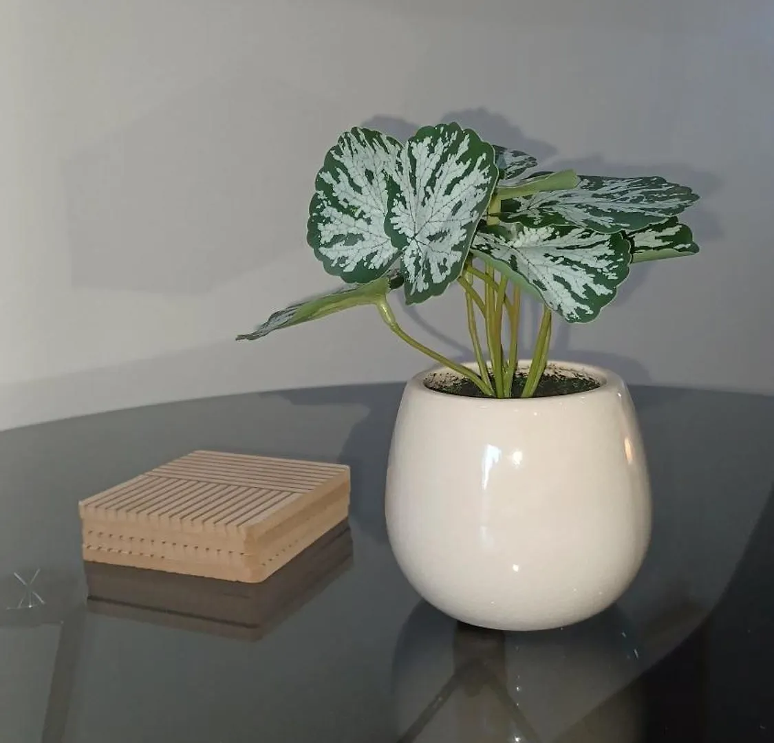 Apartment Ferienwohnung Panorama Self Catering 2 Parow